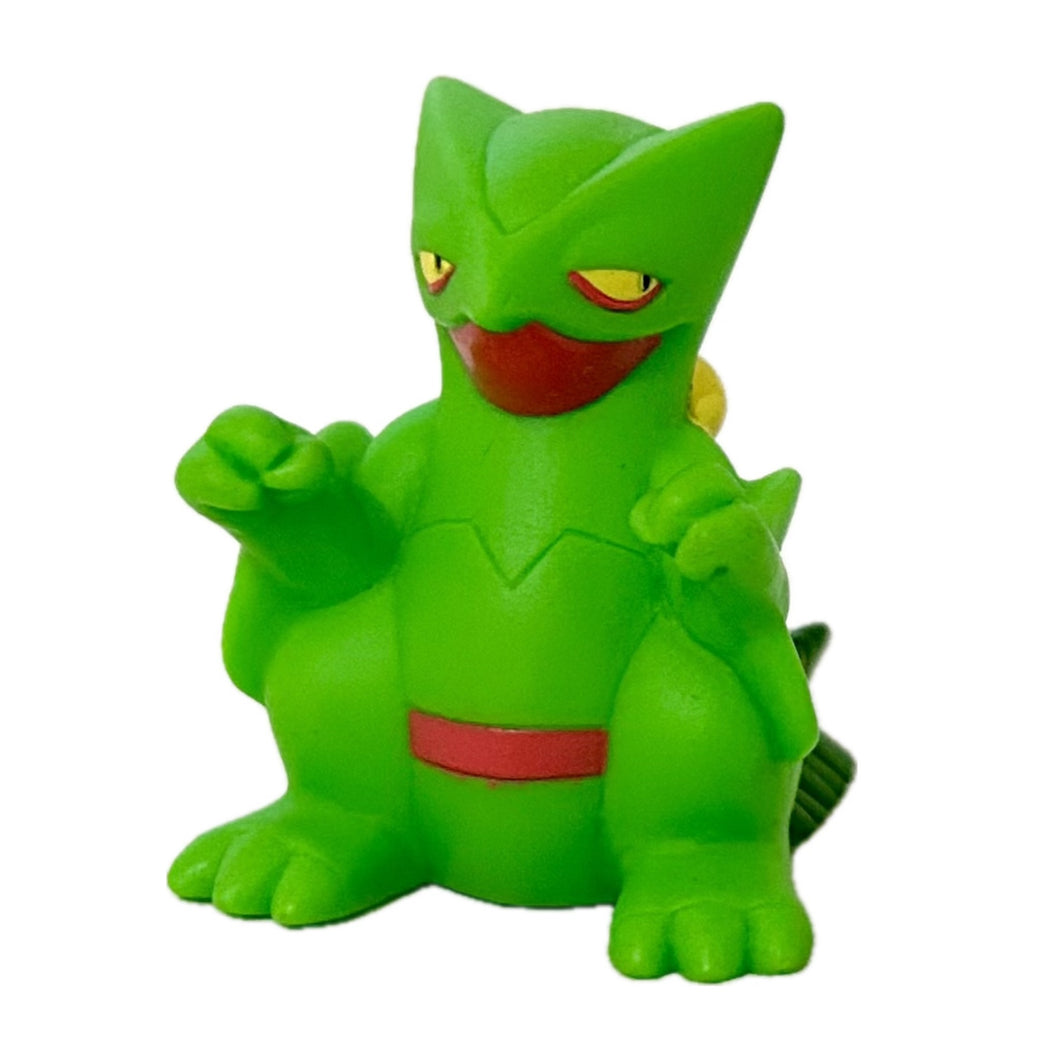 Pocket Monsters Advanced Generation - Jukain / Sceptile - Pokémon Kids Advance 6