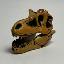 Cargar imagen en el visor de la galería, Tyrannosaurus - Trading Figure - Miniature (023)
