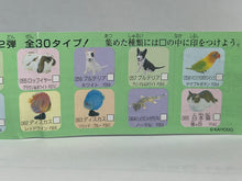 Cargar imagen en el visor de la galería, Discus (fish) - Trading Figure - Miniature - 061 P30-A

