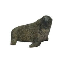 Load image into Gallery viewer, Wildlife of the World: Asia &amp; Oceania Edition (Set of 9)

