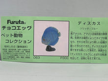 Cargar imagen en el visor de la galería, Discus (fish) - Trading Figure - Miniature - 063 P30-C
