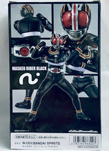 Cargar imagen en el visor de la galería, Kamen Rider Black - Eiyuu Yuuzou - Figure
