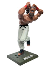 Cargar imagen en el visor de la galería, Virtua Fighter - Jeffry McWild - Collection Vol. 1

