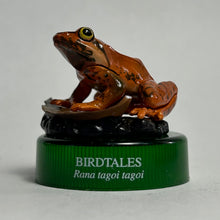 Load image into Gallery viewer, Japanese Brown Frog (Rana tagoi tagoi) - Mini Figure - Bottle Cap
