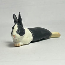 Cargar imagen en el visor de la galería, Dutch rabbit - Trading Figure - Miniature - 031
