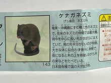 Load image into Gallery viewer, Ryukyu Spiny rat - Trading Figure - Miniature - 143
