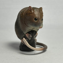 Load image into Gallery viewer, Ryukyu Spiny rat - Trading Figure - Miniature - 143
