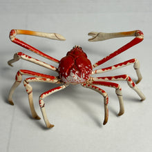 Cargar imagen en el visor de la galería, Spider crab - Trading Figure - Miniature - 155
