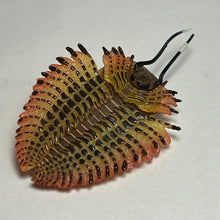 Load image into Gallery viewer, Trilobite - Trading Figure - Miniature (067)
