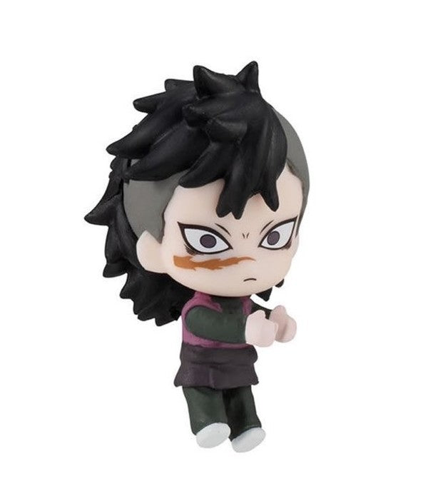 Kimetsu no Yaiba - Shinazugawa Genya - Hugcot