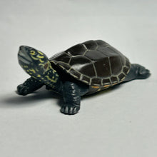 Cargar imagen en el visor de la galería, Pond turtle - Trading Figure - Miniature - 007C
