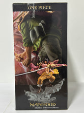 Cargar imagen en el visor de la galería, One Piece - Gol D. Roger - Manhood - A

