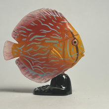 Load image into Gallery viewer, Discus (fish) - Trading Figure - Miniature - 062 P30-B
