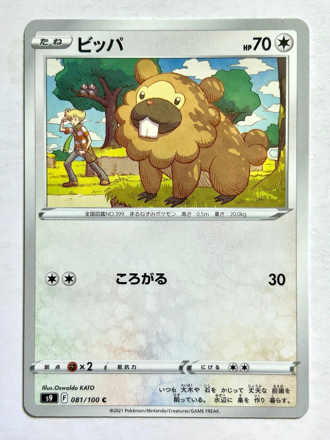 Pokémon Sword & Shield EP Star Birth - Bidoof - S9 081/100 C - Common
