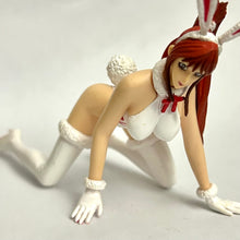Cargar imagen en el visor de la galería, G-Taste - Shihoudou Yuki - Story Image Figure - Wave 1 - Bunny Ver.
