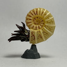 Cargar imagen en el visor de la galería, Pachydiscus - Trading Figure - Miniature (017)

