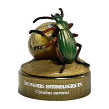 Cargar imagen en el visor de la galería, Golden Ground Beetle (Carabus albrechti) - Mini Figure - Bottle Cap
