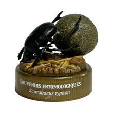 Load image into Gallery viewer, Sacred Scarab (Scarabaeus typhon) - Mini Figure - Bottle Cap
