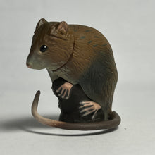Load image into Gallery viewer, Ryukyu Spiny rat - Trading Figure - Miniature - 143
