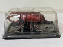 Cargar imagen en el visor de la galería, Bettle Wind-up Toy - Figure
