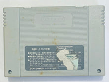 Cargar imagen en el visor de la galería, Downtown Nekketsu Baseball Monogatari - Super Famicom - SFC - Nintendo - Japan Ver. - NTSC-JP - Cart (SHVC-NV)
