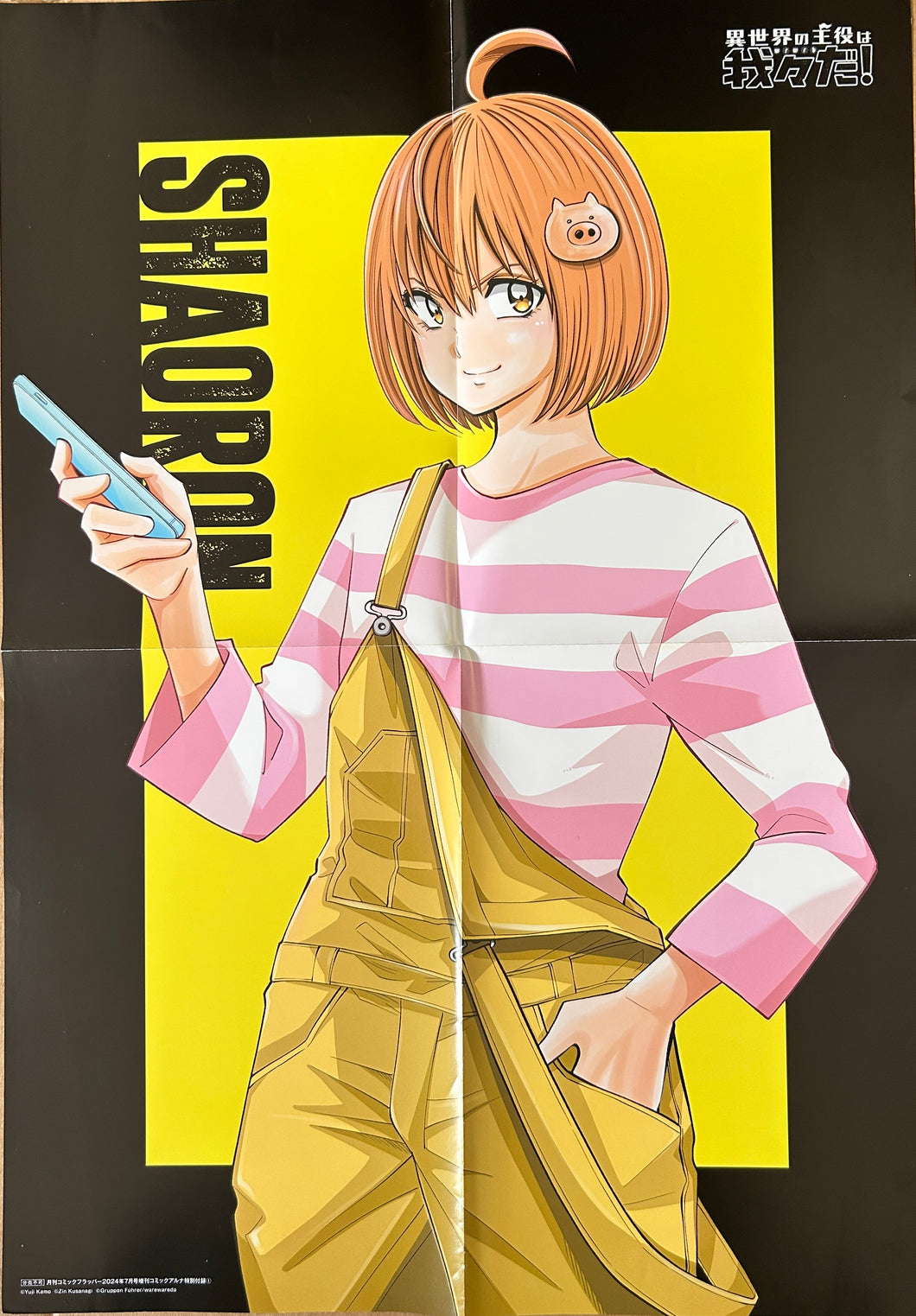 Isekai no Shuyaku wa Wareware da! - Shaoron - B3 Poster