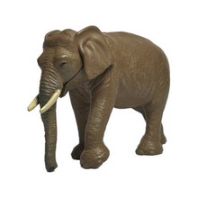 Load image into Gallery viewer, Wildlife of the World: Asia &amp; Oceania Edition (Set of 9)
