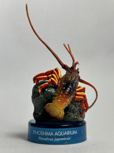 Cargar imagen en el visor de la galería, Japanese Spiny Lobster - Figure - Bottle Cap
