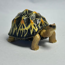 Cargar imagen en el visor de la galería, Indian Star Tortoise - Trading Figure - Miniature (08)
