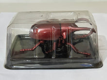 Cargar imagen en el visor de la galería, Bettle Wind-up Toy - Figure
