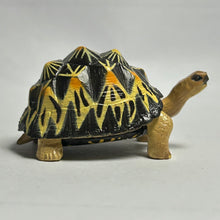 Cargar imagen en el visor de la galería, Indian Star Tortoise - Trading Figure - Miniature (08)
