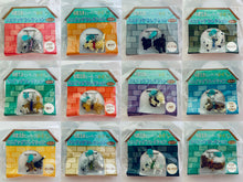 Load image into Gallery viewer, Sokenbicha Beautiful Beads Mini Dog Collection (Set of 12)
