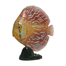 Load image into Gallery viewer, Discus (fish) - Trading Figure - Miniature - 062 P30-B
