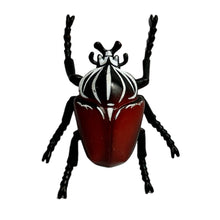 Cargar imagen en el visor de la galería, Goliath beetle - Trading Figure - Miniature (26)
