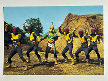 Cargar imagen en el visor de la galería, Kamen Rider - Canary Cobra Pet Operation - Trading Card - No. 390
