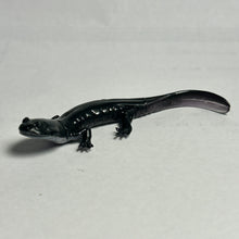 Cargar imagen en el visor de la galería, Odaigahara salamander - Trading Figure - Miniature (103)
