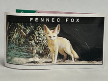 Cargar imagen en el visor de la galería, Fennec Fox - Trading Figure - Miniature
