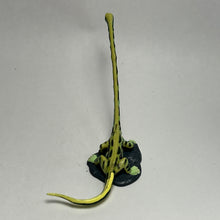 Cargar imagen en el visor de la galería, Tanystropheus - Trading Figure - Miniature (037)
