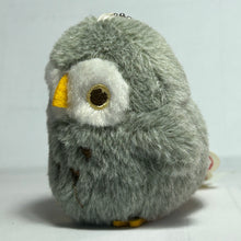 Cargar imagen en el visor de la galería, Chun Chun Little Bird BC Mascot - Owl
