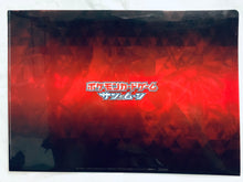 Cargar imagen en el visor de la galería, Pokémon Trading Card Game - Apita Piago Limited A4 Clear File
