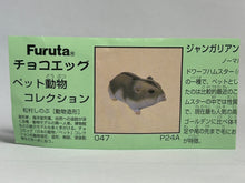 Cargar imagen en el visor de la galería, Djungarian Hamster - Trading Figure - Miniature - 047 P24-A)
