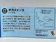 Cargar imagen en el visor de la galería, Cockatiel - Trading Figure - Miniature - 77 P36B
