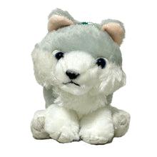 Load image into Gallery viewer, Uru-chan Standard Plush Toy "Fluffy Wolf"
