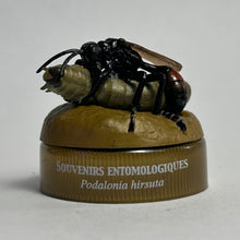 Load image into Gallery viewer, Wasp (Podalonia hirsuta) - Mini Figure - Bottle Cap
