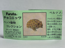 Cargar imagen en el visor de la galería, Bell's Horned Frog - Trading Figure - Miniature - 40 P20-B
