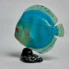 Cargar imagen en el visor de la galería, Discus (fish) - Trading Figure - Miniature - 063 P30-C
