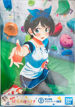 Load image into Gallery viewer, Kanojo, Okarishimasu - Sarashina Ruka - Ichiban Kuji Rent-A-Girlfriend - Illustration Board (Prize D)
