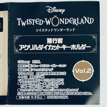 Cargar imagen en el visor de la galería, Twisted Wonderland - Floyd Leech - Flying Acrylic Diecut Keychain Vol.2
