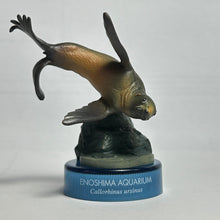 Cargar imagen en el visor de la galería, Northern fur seal / Callorhinus ursinus - Trading Figure - Miniature
