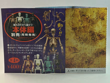 Load image into Gallery viewer, Capsule Q Museum Skull Man Plus Pirate Edition - Captain ver.
